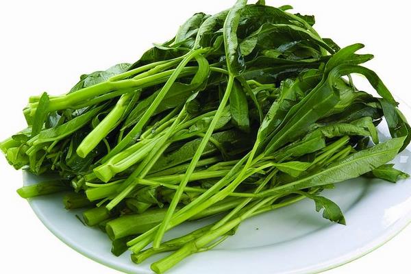 深圳农产品配送讲解空心菜怎么保存新鲜不烂