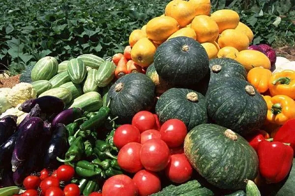 深圳农产品配送分享抗过敏的蔬菜有哪些？