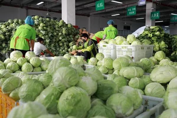 深圳蔬菜配送浅谈长途运输蔬菜注意哪些问题