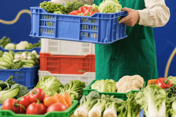 蔬菜配送公司需规避的关键问题