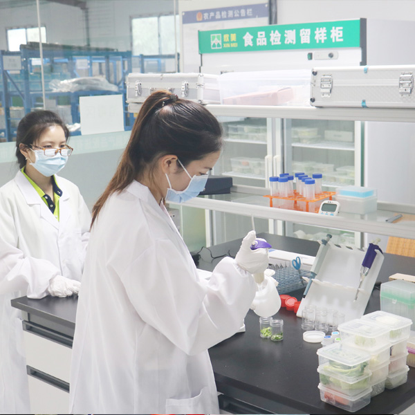 食品安全检测