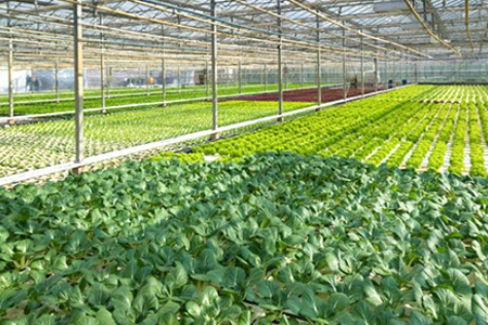 种植养殖基地直供